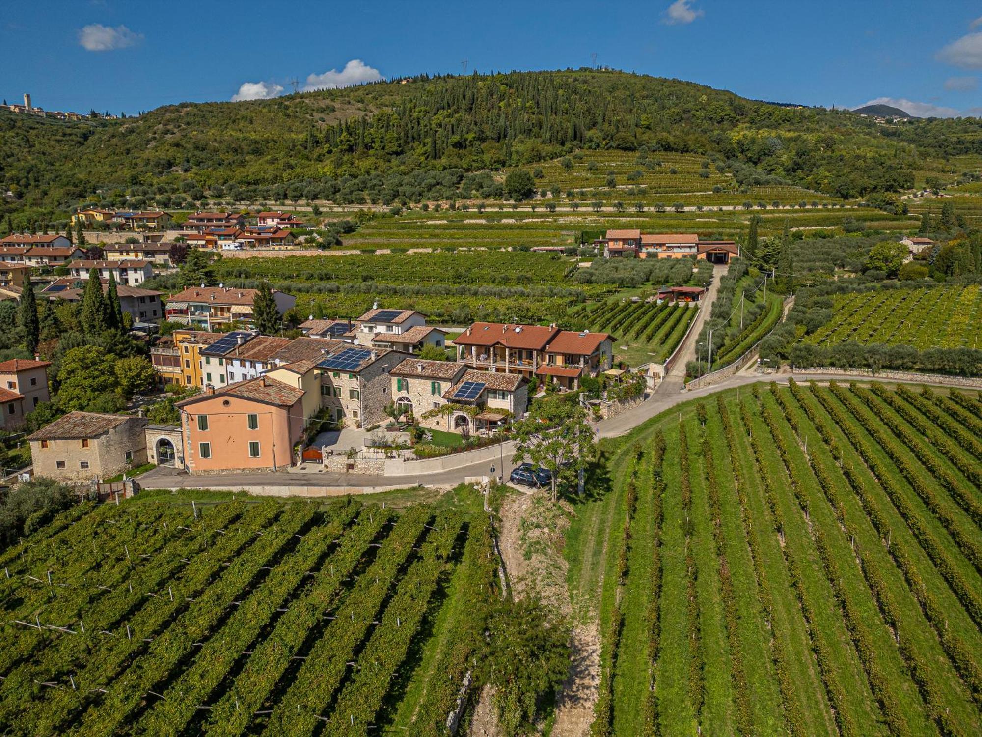 Corte Formigar SantʼAmbrogio di Valpolicella Exteriör bild