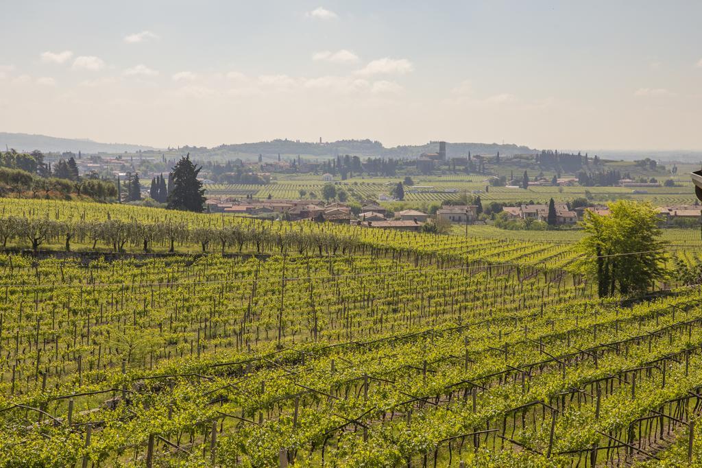 Corte Formigar SantʼAmbrogio di Valpolicella Exteriör bild